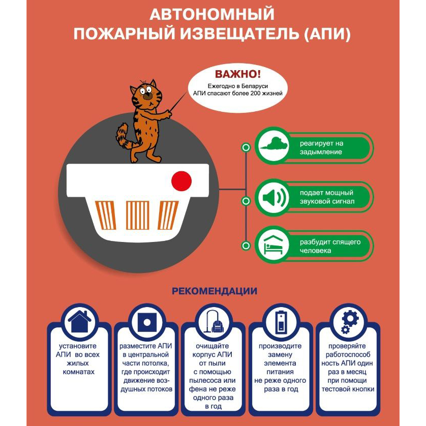 апи